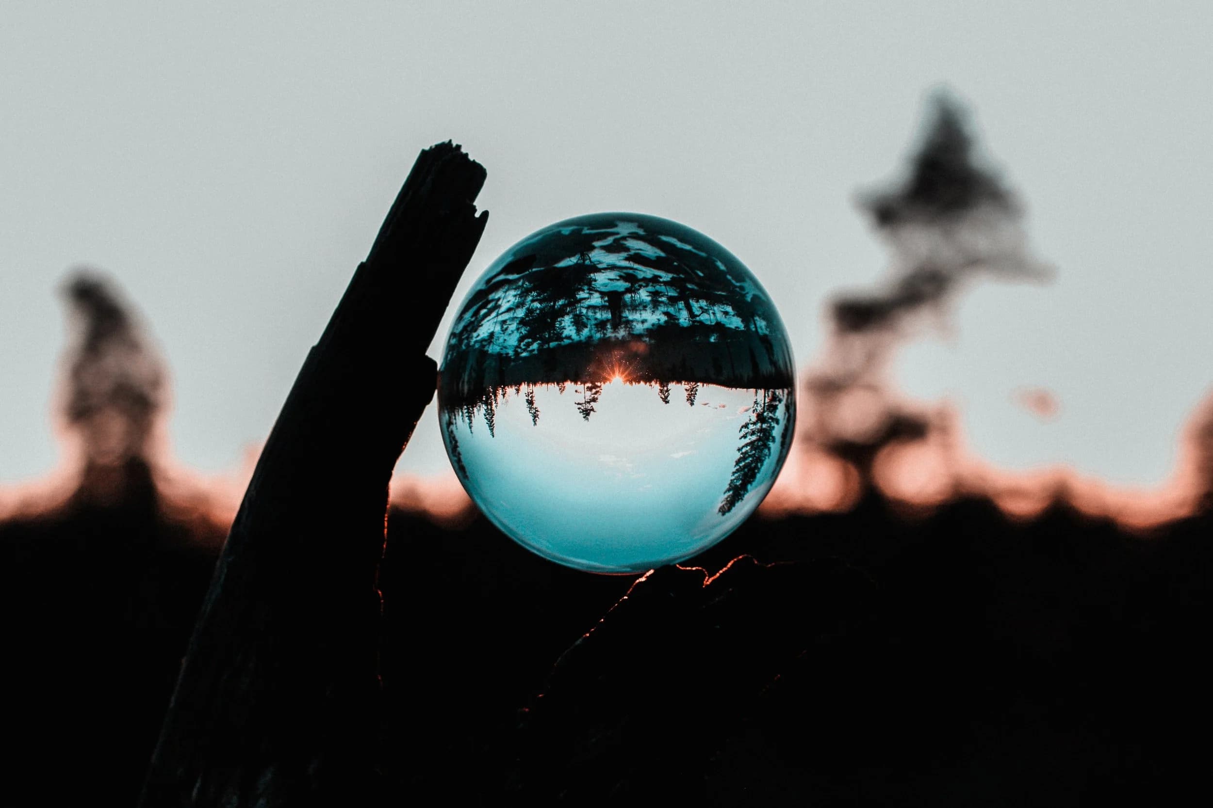 Forecasting Reality: The Power of Truth-Telling